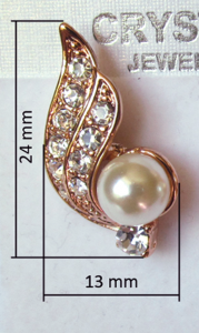 E_017_gold_na_site_size2